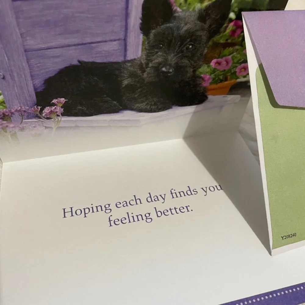 6 Assorted Greeting Cards Animals & Flowers matching print envelopes